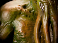 Painted-Cthulhu-Prototype-002.png